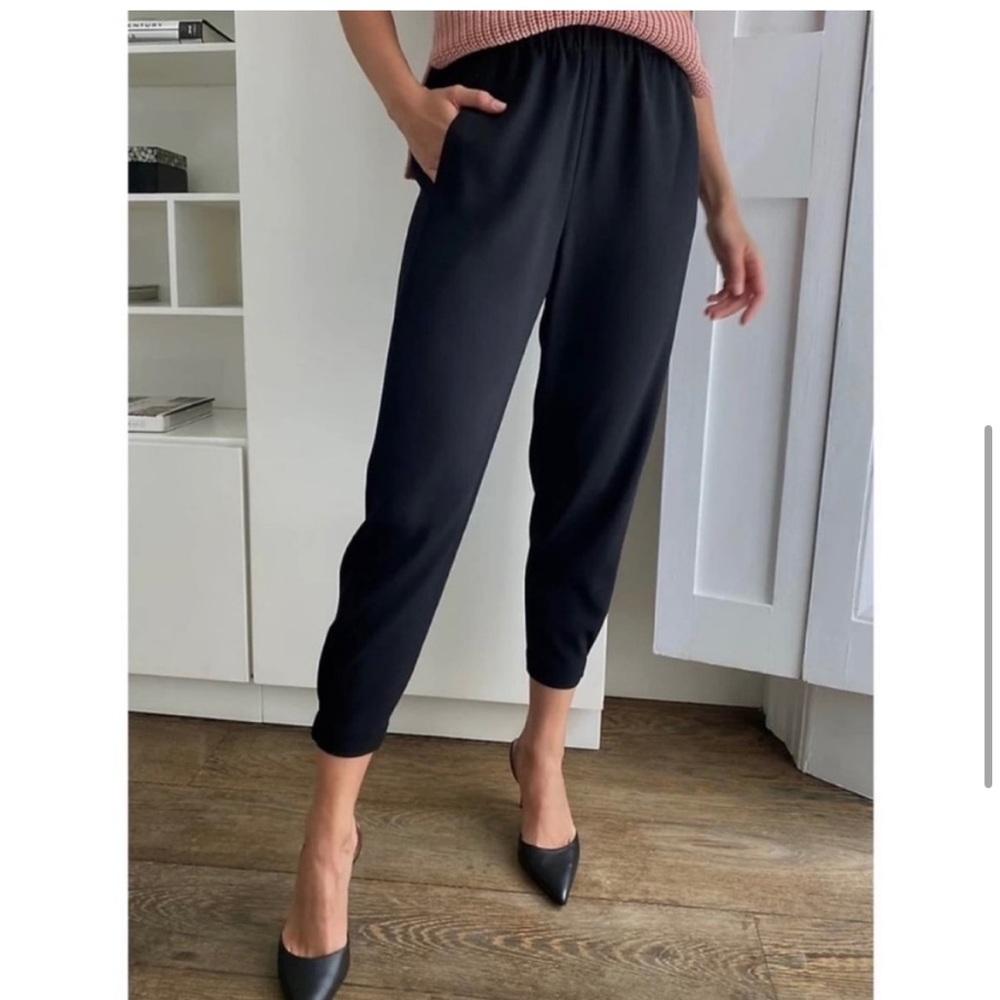 Aritzia Babaton Dexter Pants